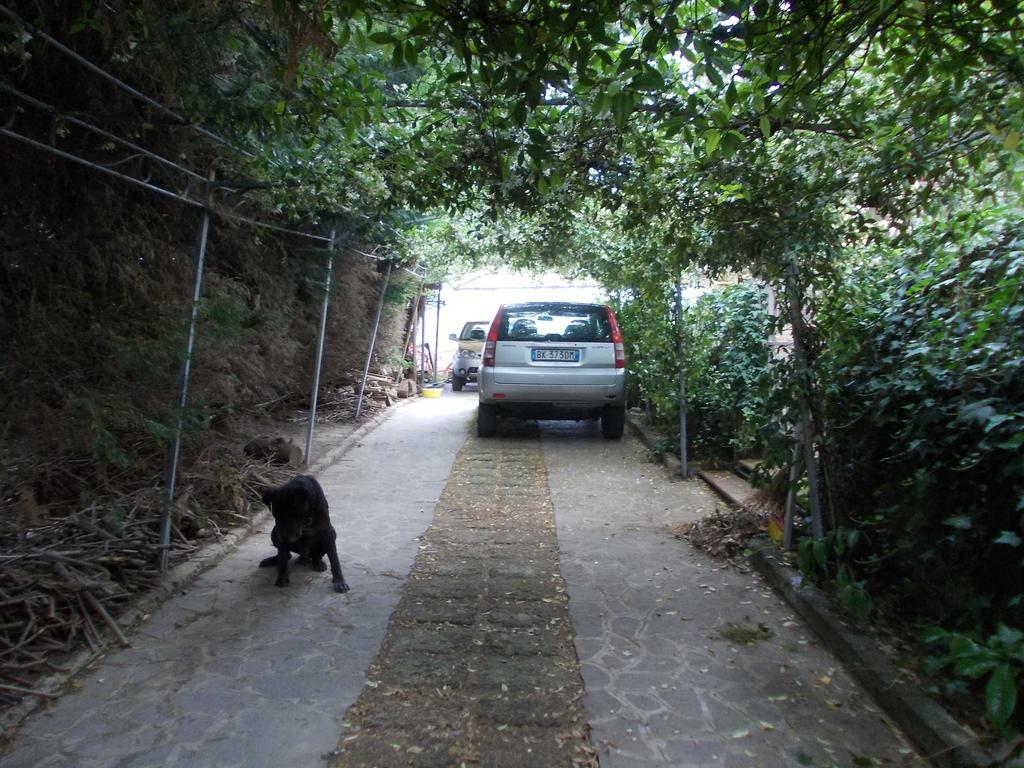 Bellavista Country House Pescara Ngoại thất bức ảnh