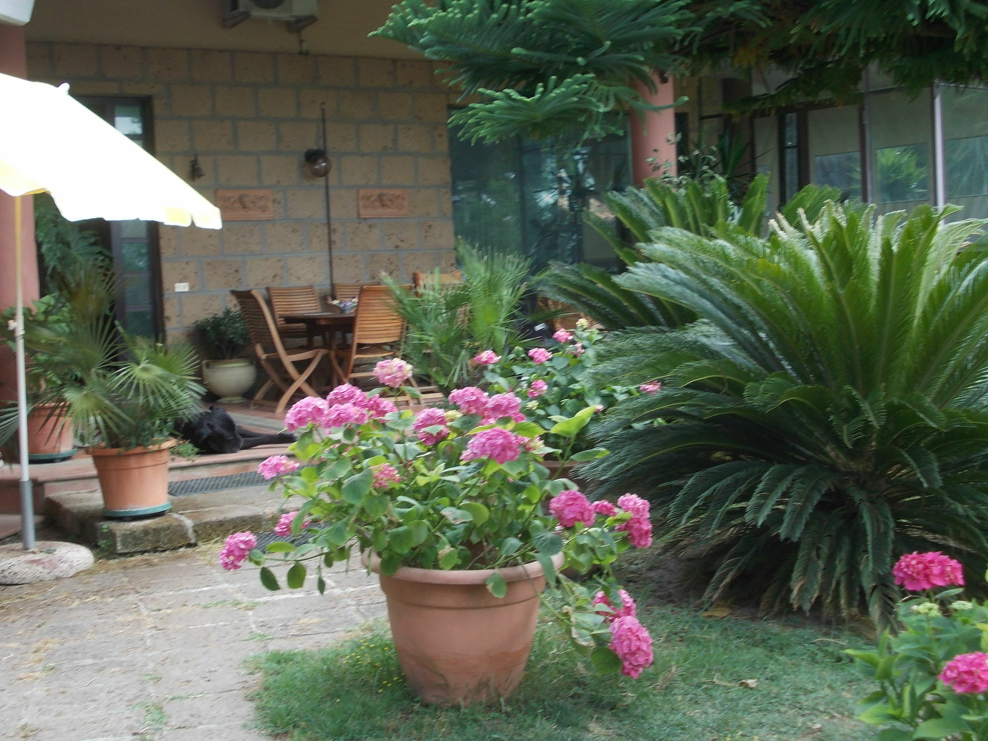 Bellavista Country House Pescara Ngoại thất bức ảnh